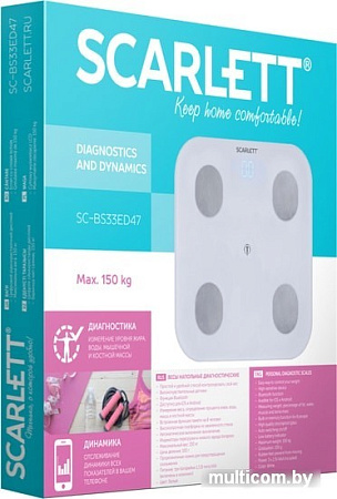 Scarlett SC-BS33ED47