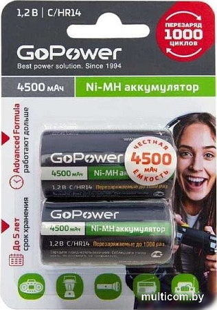 Аккумулятор GoPower 00-00018322
