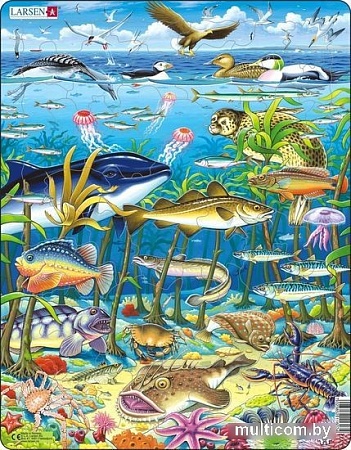 Пазл Larsen Водоросли FH13