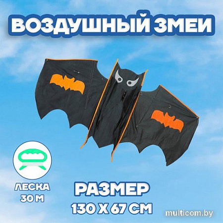 Воздушный змей Funny Toys Летучая мышь 3949853