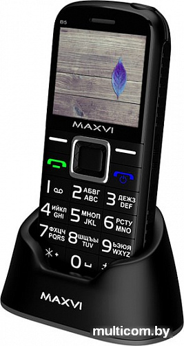 Мобильный телефон Maxvi B5 (черный)
