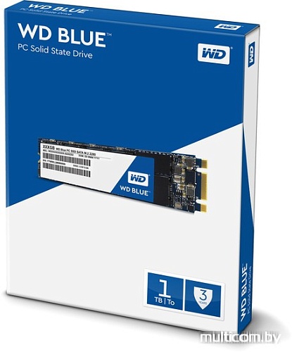 SSD WD Blue PC 1TB [WDS100T1B0B]