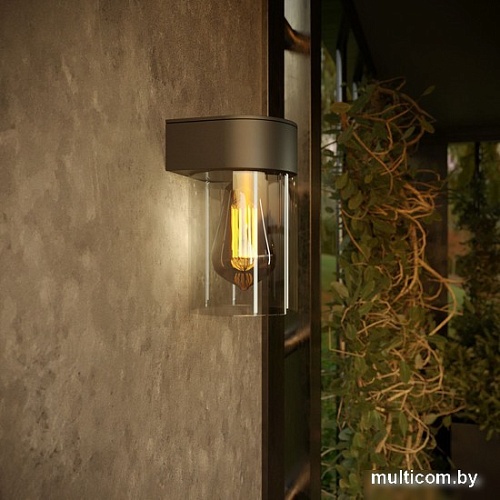 Уличный настенный светильник Elektrostandard Atrani 35085/D (черный)