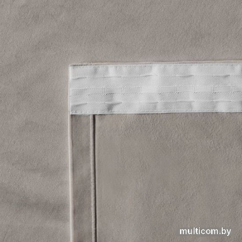 Комплект штор Pasionaria Бархат 290x250 (светло-серый)