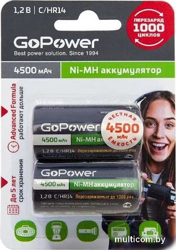 Аккумулятор GoPower 00-00018322