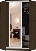 Шкаф-купе Кортекс-мебель Сенатор ШК30 Классика ДСП с зеркалом (венге темный)