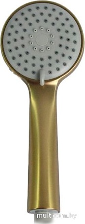 Душевая лейка Ledeme LD003Y (золотой сатин)