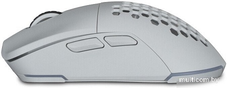 Игровая мышь SVEN RX-G980W (белый)