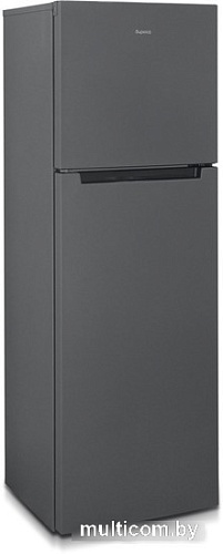 Холодильник Бирюса W6039