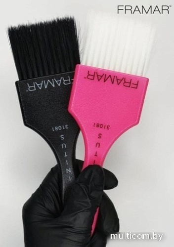 Framar Power Painter 91029