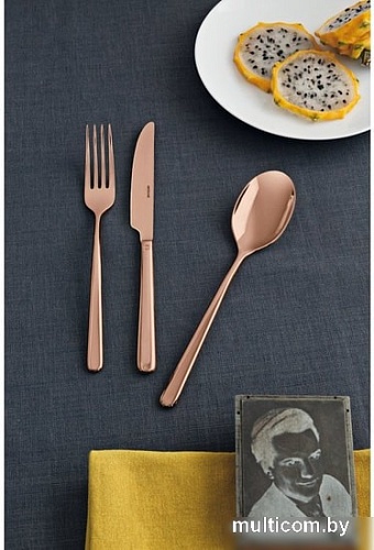 Набор столовых приборов Sambonet Linear 52713C81