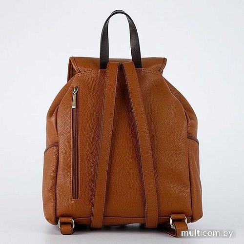 Городской рюкзак Francesco Molinary 513-14921-037-BRW