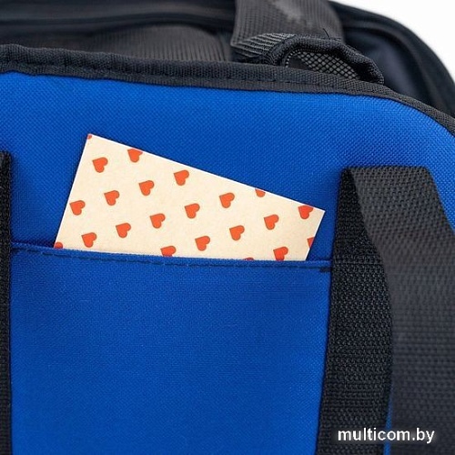 Сумка-переноска Zoom Элай №2 90062син