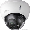 IP-камера Dahua DH-IPC-HDBW2320RP-VFS