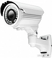 CCTV-камера Ginzzu HAB-20V1P