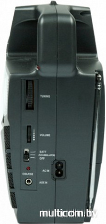 Радиоприемник Ritmix RPR-555
