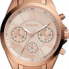 Наручные часы Fossil Modern Courier BQ3036