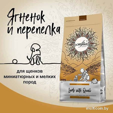 Сухой корм для собак Craftia Natura для щенков миниат. и мелких пород с индейкой и перепелкой (2кг)