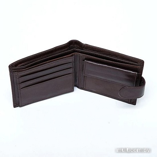 Кошелек Poshete 827-2005-A-BRW (коричневый)