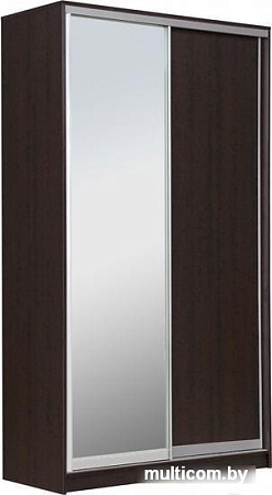 Шкаф распашной Рэйгрупп 120 VVX Elgon РГ-12.02 (венге/хром)