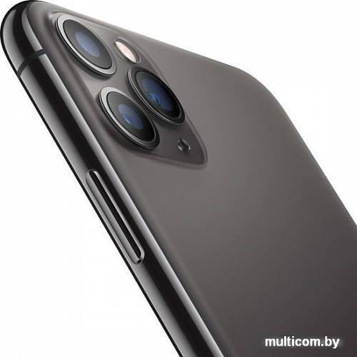 Смартфон Apple iPhone 11 Pro Max 64GB (серый космос)