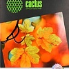 Фотобумага CACTUS Суперглянцевая А4 260 г/м2 50 листов (CS-HGA426050)
