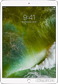 Планшет Apple iPad Pro 10.5 256GB Silver