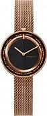 Наручные часы Pierre Cardin Marais Mirror CMA.0001