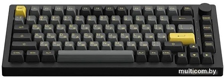 Клавиатура Akko 5075B Plus Black & Gold (Akko Cream Yellow V3)