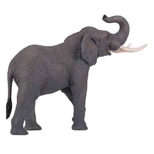 Фигурка Konik Африканский слон Самец AMW2003