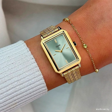 Наручные часы Cluse CW11514