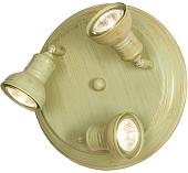 Спот Lussole Loft GRLSL-2507-03