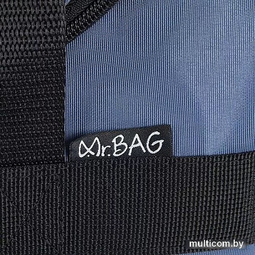 Mr.Bag 039-312-GRY (серый)