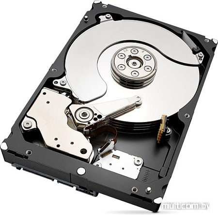 Жесткий диск Seagate Skyhawk 6TB ST6000VX001