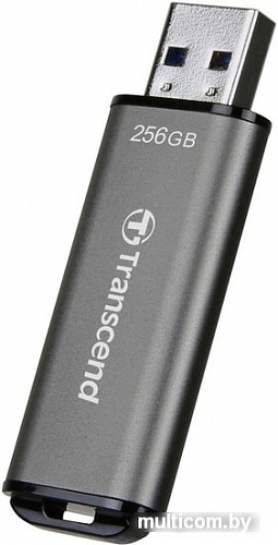 USB Flash Transcend JetFlash 920 256GB