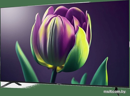 Телевизор Topdevice TDTV75CS06UBK