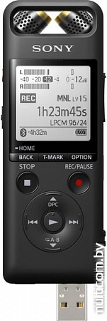 Диктофон Sony PCM-A10