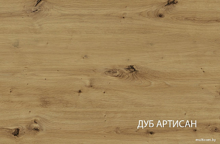 Шкаф-витрина Anrex Bosco 1V1D (дуб артисан/черный)