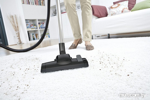 Пылесос Karcher DS 6