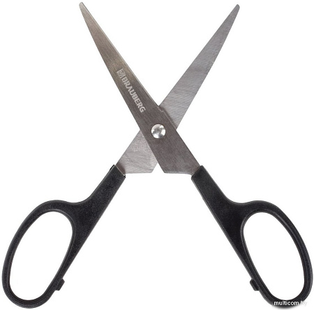 BRAUBERG Standard 237095