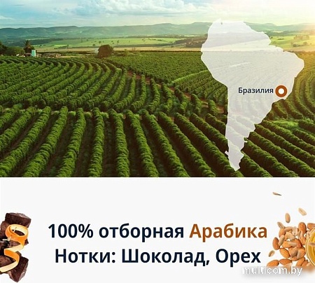 Кофе DeLonghi Signature Espresso Blend зерновой 250 г