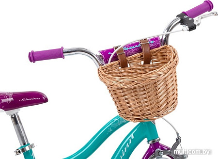 Детский велосипед Schwinn Elm 16 2021 S0615RUBWB (голубой/фиолетовый)