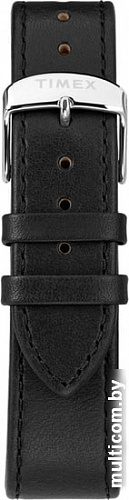 Наручные часы Timex TW2T21100