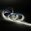 Светодиодная лента Gauss Basic LED 5050/60 12V 8W/m 800lm/m 3000K 10mm IP20 2m 1/100 BT020