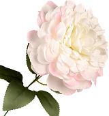 Искусственный цветок Forgarden Хризантемы BN11040 (светло-розовый)