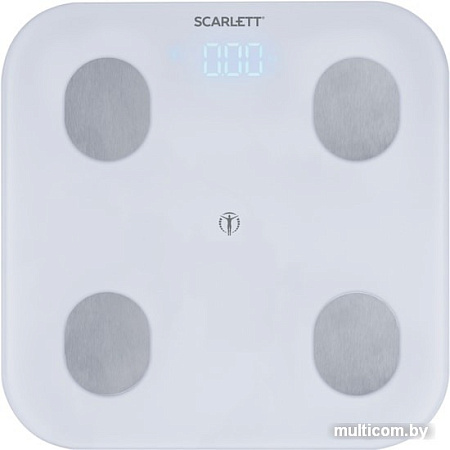 Scarlett SC-BS33ED47
