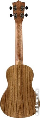 Укулеле Veston KUC100 AC