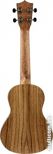 Укулеле Veston KUC100 AC