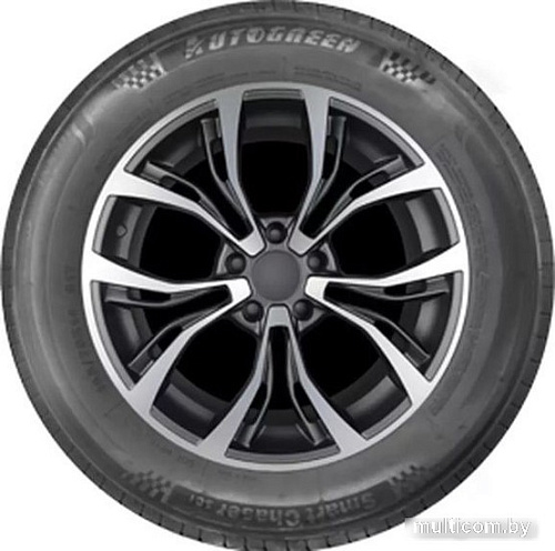 Автомобильные шины Autogreen Smart Chaser-SC1 175/70R14 84T