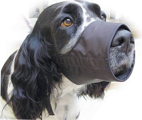 Намордник Show Tech №0 92STE001